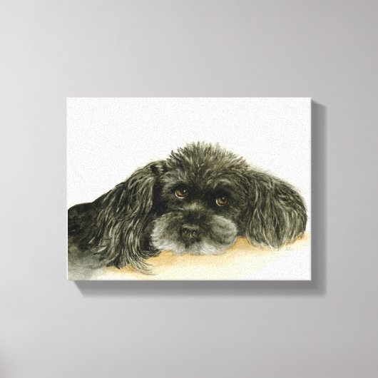 Zwarte Poedel canvas ingelijst print (Voorkant)