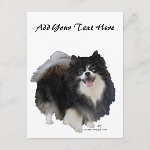 Zwarte Pomeranian Briefkaart