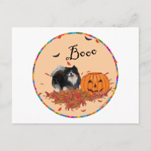 Zwarte Pomeranian Halloween Briefkaart