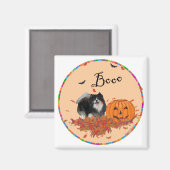 Zwarte Pomeranian Halloween Magneet (Voorkant / Achterkant)