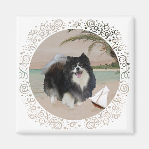 Zwarte Pomeranian met Zeilboot Magneet