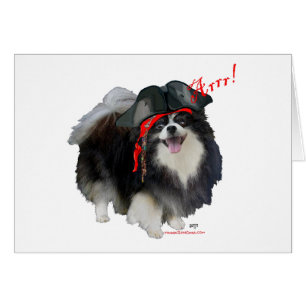Zwarte Pomeranian Piraat - Arrr!