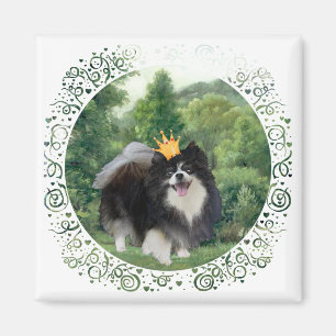 Zwarte Pomeranian Prins Magneet