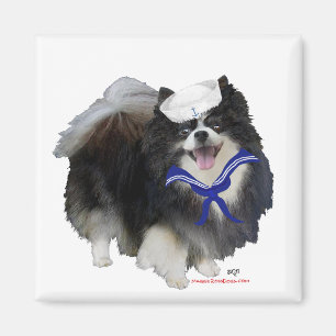 Zwarte Pomeranian Zeiler Magneet