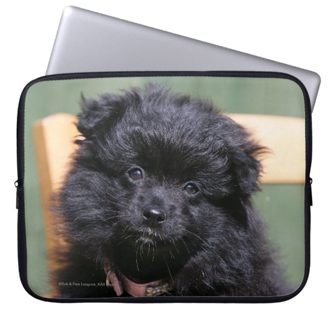 Zwarte Pommeren Puppy Laptop Sleeve (Voorkant)