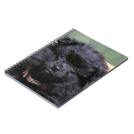 Zwarte Pommeren Puppy Notitieboek (Linkerzijde)