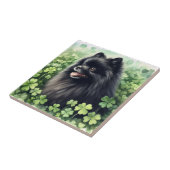 Zwarte Pommeren St Patricks Day Tegeltje (Zijkant)
