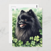 Zwarte Pommerse St Patricks Day Portret Briefkaart (Voorkant / Achterkant)