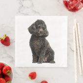 Zwarte Poodle Puppy Hond Trouwfeest Verjaardag Servet (Insitu)