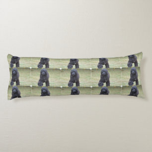 Zwarte Portugese waterhond Lichaamskussen