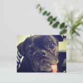 Zwarte Pug Briefkaart (Staand voorkant)