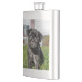 Zwarte pug flacon (Links)
