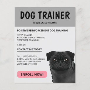 Zwarte Pug Hondentrainer Hond Huisdier Dienst Grij Flyer