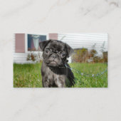 Zwarte pug visitekaartje (Achterkant)
