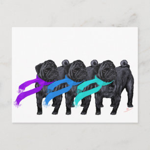 Zwarte Pugs in Sjaals Briefkaart