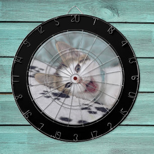 Zwarte rand Cirkel foto Dartbord