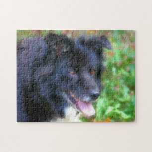 Zwarte rand Collie Dog Art Fotoschildering Legpuzzel