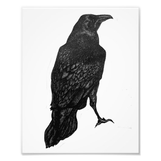 Zwarte Raven Print Foto Afdruk (Voorkant)