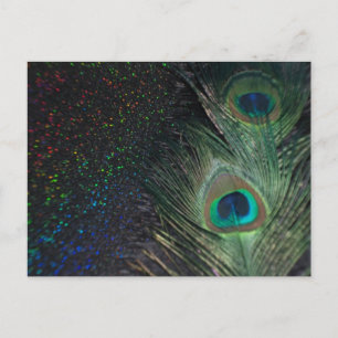 Zwarte regenboogpacock briefkaart