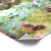 Zwarte reuzenvis poster (Hoek)