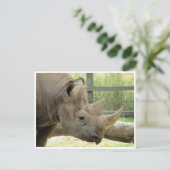 zwarte rhino briefkaart (Staand voorkant)