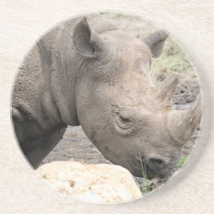 Zwarte rhino zandsteen onderzetter