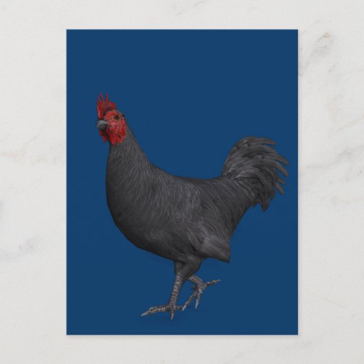 Zwarte rooster briefkaart (Voorkant)
