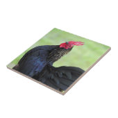 Zwarte rooster tegeltje (Zijkant)