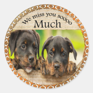 Zwarte Rottweiler leuke puppyhonden met droevige Ronde Sticker