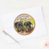 Zwarte Rottweiler schattige puppy honden met tries Ronde Sticker (Envelop)
