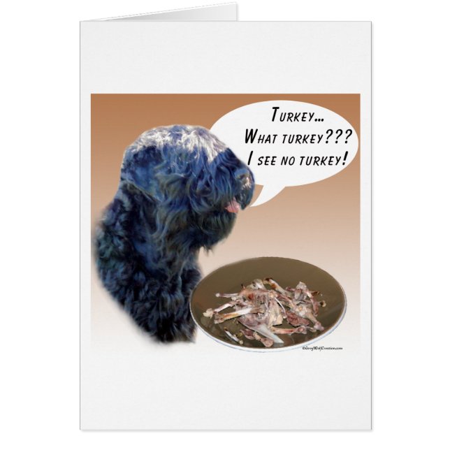 Zwarte Russische Terrier Turkije (Voorkant)