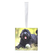 Zwarte Russische Terriër Twee Foto Kerstvakantie Kubus Ornament (Rechts)