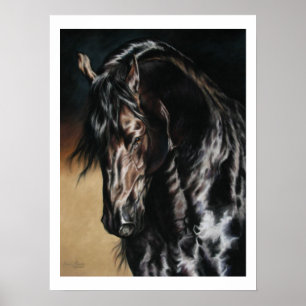 Zwarte Satin - afdruk Poster