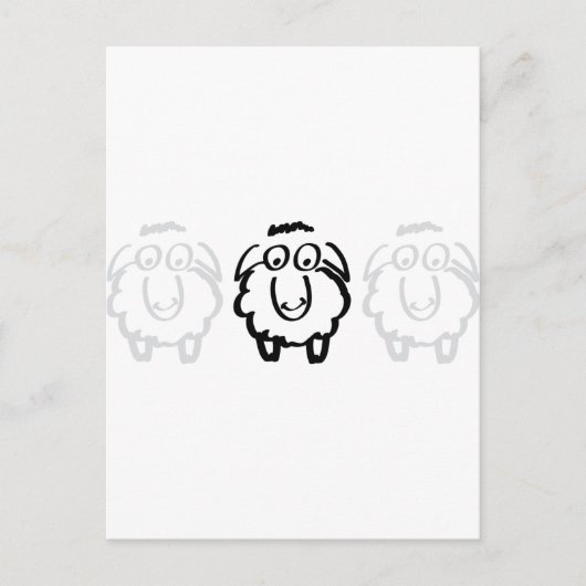 zwarte schaap briefkaart (Voorkant)