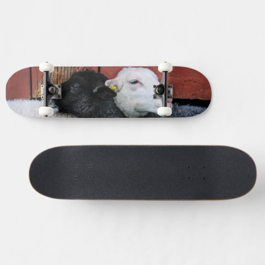 Zwarte schaap Witte schaap Skateboard (Horizontaal)