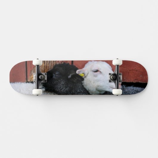 Zwarte schaap Witte schaap Skateboard (Horizontaal)