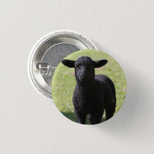 Zwarte schapen - Button (Voorkant /achterkant)