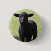 Zwarte schapen - Button (Voorkant)