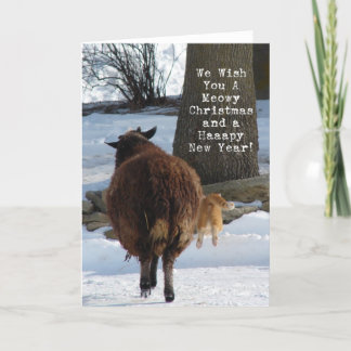 Zwarte schapen en katten, kerstplezier feestdagen kaart