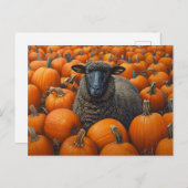Zwarte schapen Herfst Pompoen Patch Briefkaart (Voorkant / Achterkant)