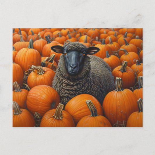 Zwarte schapen Herfst Pompoen Patch Briefkaart (Voorkant)