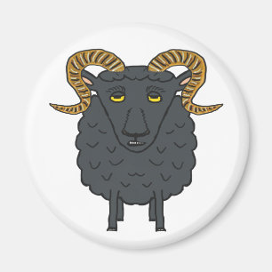 Zwarte schapen magneet