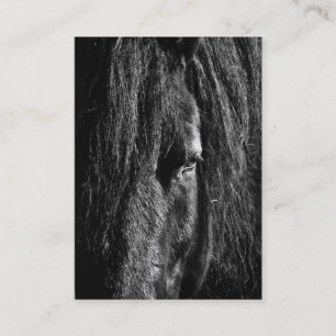 Zwarte schoonheid - Visitekaartje