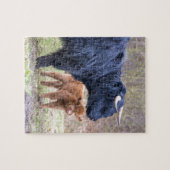 Zwarte Schotse grootlander-moederkoe bij pasgebore Legpuzzel (Horizontaal)