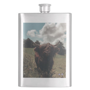 Zwarte Schotse hooglandkoe graast vintage retro Flacon