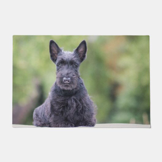 Zwarte Schotse terrier Deurmat (Voorkant)