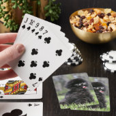 Zwarte Senior Pommeren Pokerkaarten (Insitu)