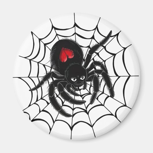 Zwarte spin in het web magneet (Voorkant)