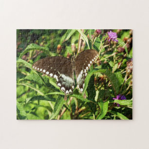 Zwarte Staartvlinder Natuurfotografie Legpuzzel