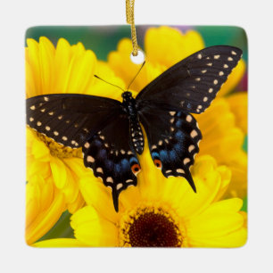 Zwarte Staartvlinder vlinder Keramisch Ornament